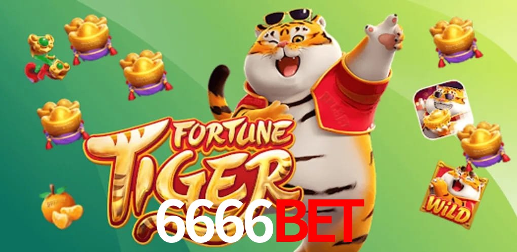Experiência VIP 6666BET